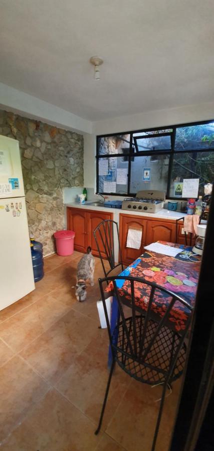 Hotel Posada Casa Juana San Cristóbal de Las Casas 외부 사진