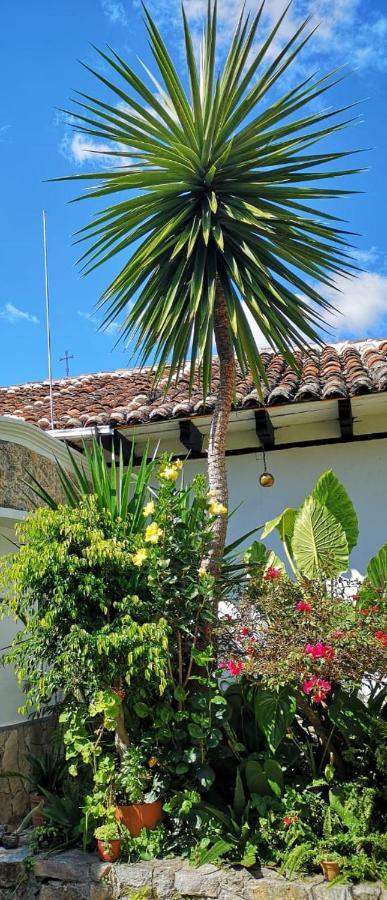 Hotel Posada Casa Juana San Cristóbal de Las Casas 외부 사진